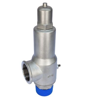 DN50 Safety Valve for Liquid Nitrogen Competitive Price for Pressure Regulation