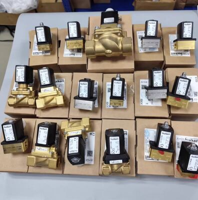 Burkert Original Genuine Product 6013series 00137537/00134233/00136018/00137533 Two-way Plunger Valve