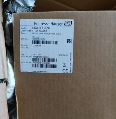 E+H FTL64 Point Level Switch for High-temperature Applications with 316L Alloy and 6 m Sensor Length